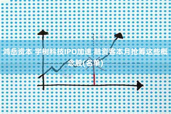 鸿岳资本 宇树科技IPO加速 融资客本月抢筹这些概念股(名单)