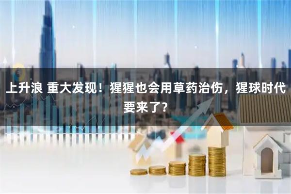 上升浪 重大发现!猩猩也会用草药治伤,猩球时代要来了?