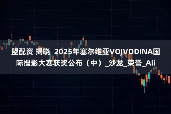 盟配资 揭晓  2025年塞尔维亚VOJVODINA国际摄影大赛获奖公布（中）_沙龙_荣誉_Ali